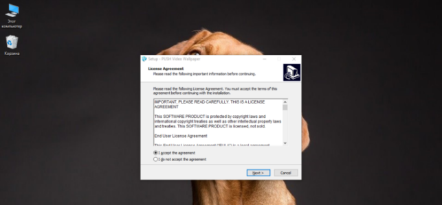 живые обои на рабочий стол для windows 10 как установить