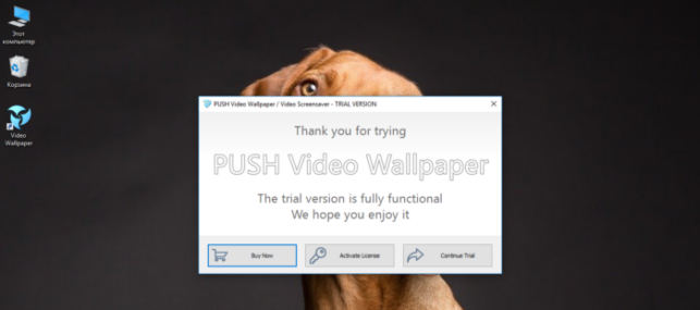 живые обои на рабочий стол для windows 10 как установить