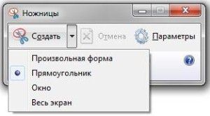 как делать скрин в windows 10