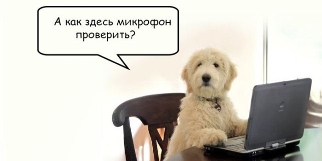 как проверить микрофон на windows 10