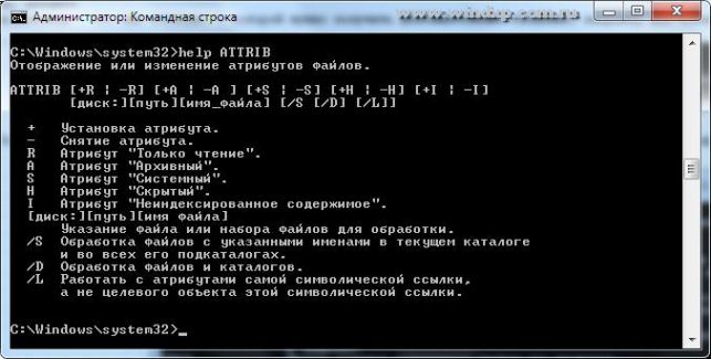 как открыть командную строку в windows 7
