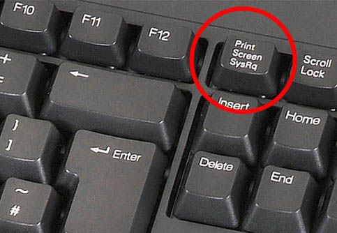 как сделать скрин экрана на ноутбуке windows 7
