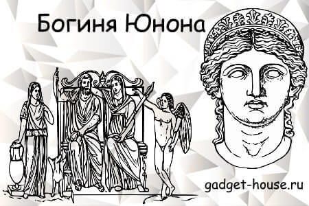 как узнать какая у меня видеокарта на windows 7